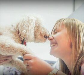 Don’t Pucker Up: Dog Kisses Could Lead To Serious Illnesses