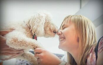 Don’t Pucker Up: Dog Kisses Could Lead To Serious Illnesses