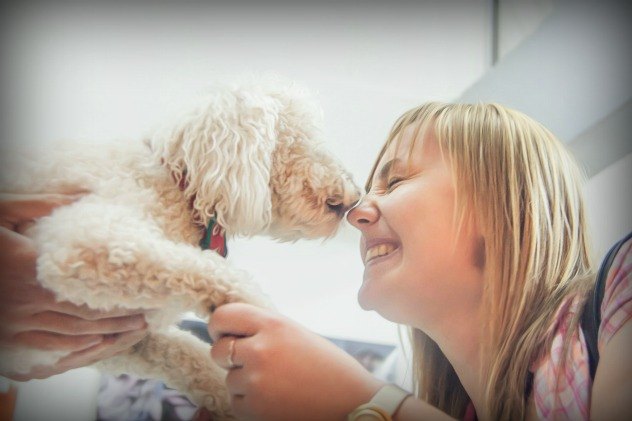 dont pucker up dog kisses could lead to serious illnesses