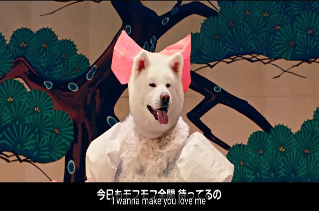 much odd doge tourism video will crack you up or scar you for life