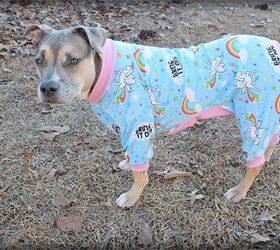 Perfect Pajamas For Your Pooch