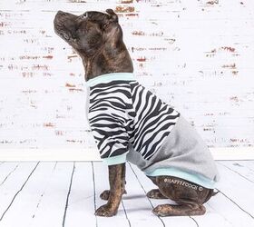 perfect pajamas for your pooch