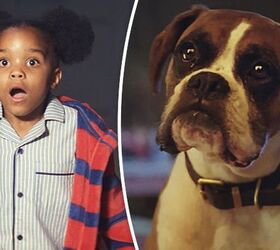 John Lewis Holiday Ad Has Buster The Boxer Jumping For Joy [Video]
