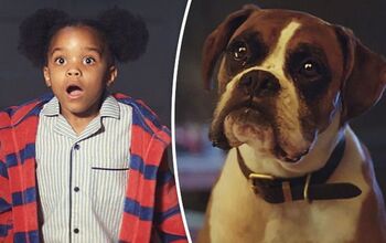 John Lewis Holiday Ad Has Buster The Boxer Jumping For Joy [Video]