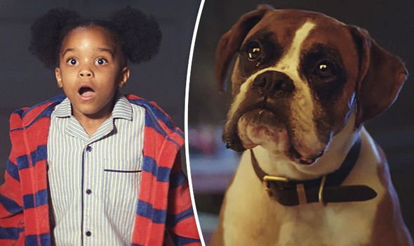 john lewis holiday ad has buster the boxer jumping for joy video