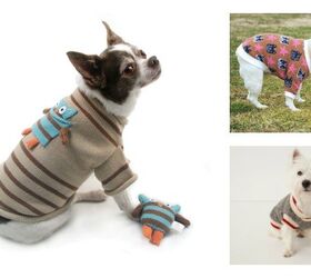 Best Sweaters for Peachy Pooches