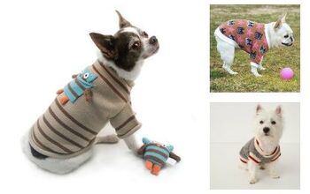 Best Sweaters for Peachy Pooches