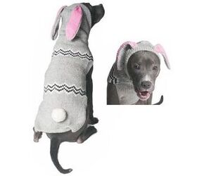 best sweaters for peachy pooches