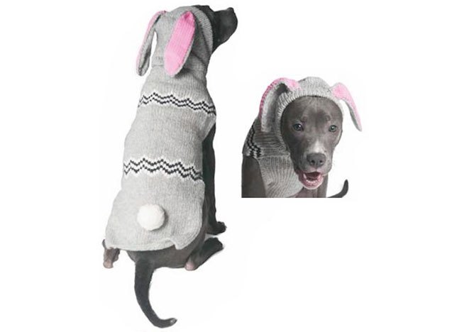 best sweaters for peachy pooches