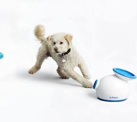 15 Best Gadget Gifts for Geeky Pets PetGuide