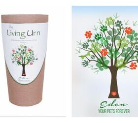 eco friendly natural memorials allow a pets memory to live forever