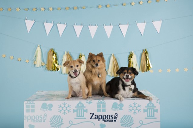 zappos aims to give pets 8216 homes for the pawlidayz 8217