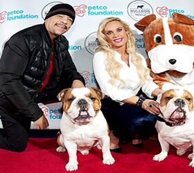 Ice-T and Coco’s Beloved Bulldog Passes Away After Surgery