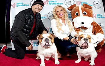 Ice-T and Coco’s Beloved Bulldog Passes Away After Surgery