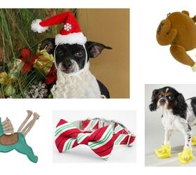 10 Sweet Stocking Stuffers for Your Dog