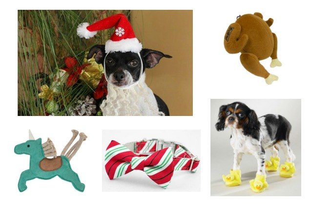10 sweet stocking stuffers for your dog