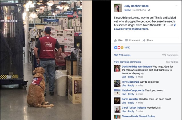 veteran and service dog couldnt find work until lowes hired them