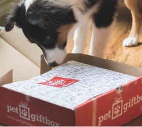 say cheers to pet gift boxes care of famous tv mailman cliff