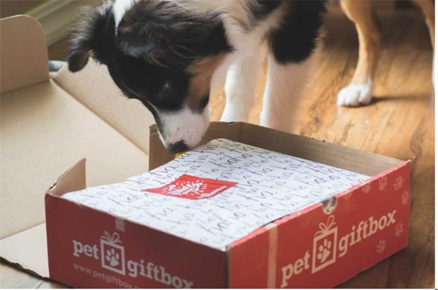 say cheers to pet gift boxes care of famous tv mailman cliff