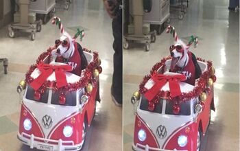 Sancho Paws Is Coming To Town… In a VW Van!