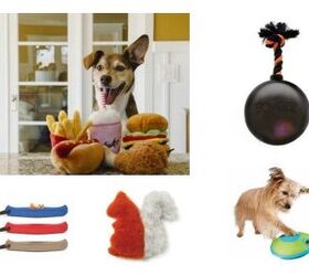 Top 10 Fetching Dog Toys for Holiday Giving