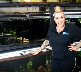 confessions of a tank addict youtube fish fanatic rachel oleary