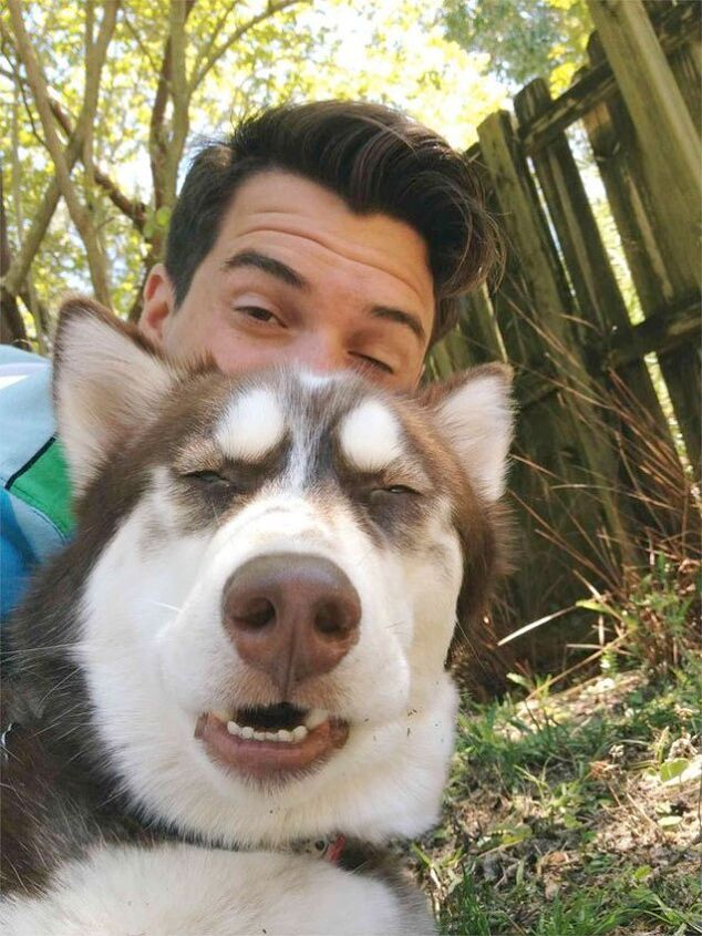 10 photogenic pet selfies thatll make you smile