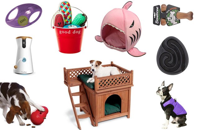 last minute gift guide for your furry friends
