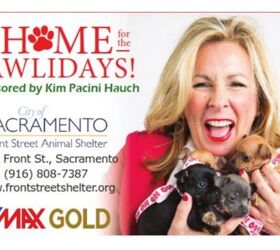 Donation From Realtor Connects 1000 Pets With Their Furever Homes