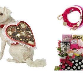 10 valentines day gifts for your puppy love