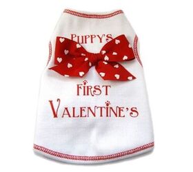 10 valentines day gifts for your puppy love