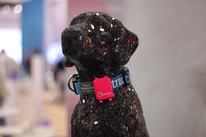 6 favorite pet tech picks from ces 2017