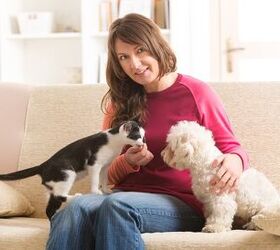 8 Tips to Hiring an In-Home Pet Sitter