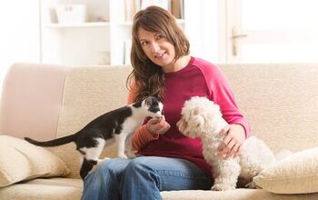 8 Tips to Hiring an In-Home Pet Sitter