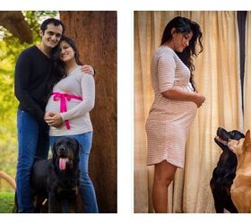 Couple Decides Prenatal Photo Shoot Needs Pooches