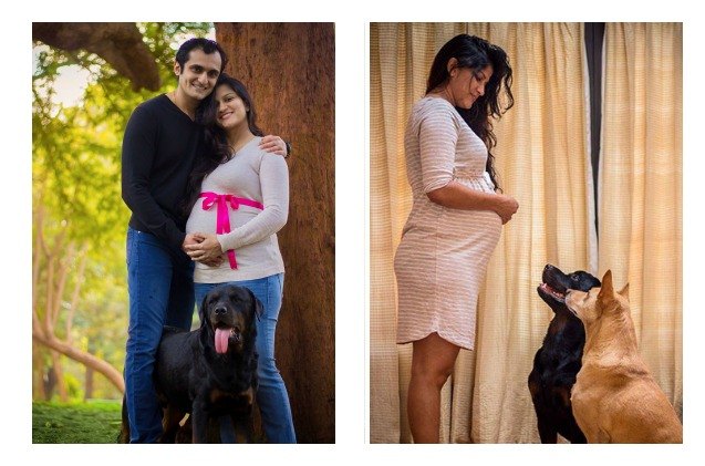 couple decides prenatal photo shoot needs pooches