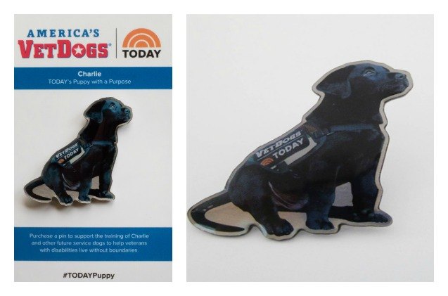 former marine makes puppy pins to support disabled veterans