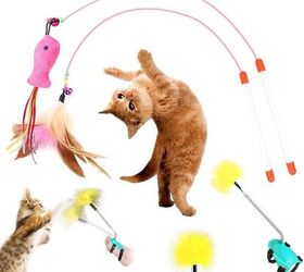 Catnip dispenser for cat toys - Scent setters