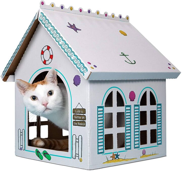 Top 10 Weird Pet Products You Never Knew You Needed PetGuide top-10-weird-pet-products-you-never-knew-you-needed-petguide