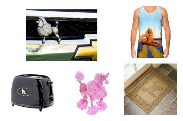 10 precious poodle products for people