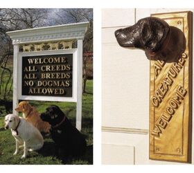Dog Chapel In Vermont Honors Bond Between Dogs and Humans