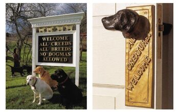 Dog Chapel In Vermont Honors Bond Between Dogs and Humans