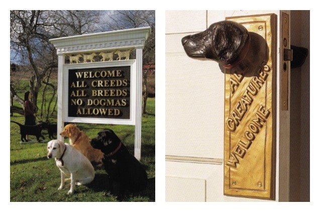 dog chapel in vermont honors bond between dogs and humans