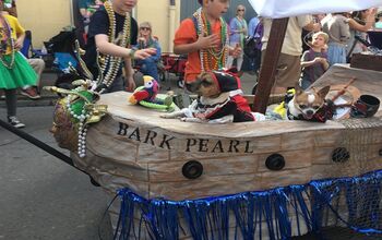 Ruff Royality Take to the Street for Mardi Gras’s Krewe Parade