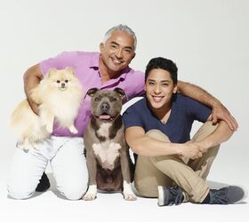 Snout to Snout: Q&A With “Dog Nation” Star Cesar Millan