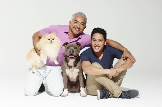 snout to snout q a with dog nation star cesar millan