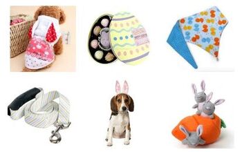10 Easter Goodies For Your Hoppy Pooch