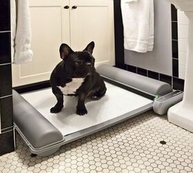 New Self-Cleaning Indoor Potty For Pups is Brilliant!