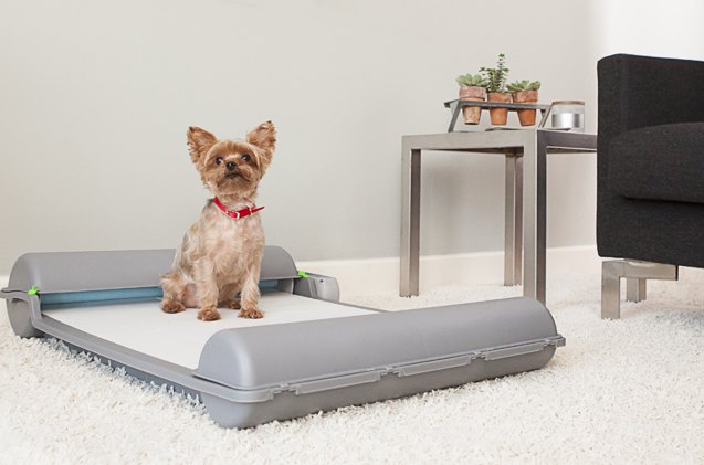 new self cleaning indoor potty for pups is brilliant
