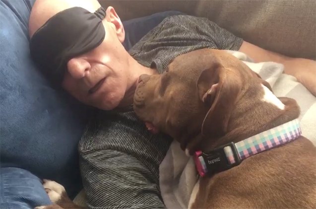 patrick stewarts love affair with a beautiful foster pittie named g